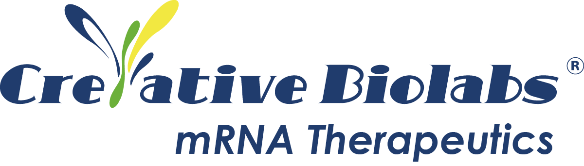 Creative Biolabs mRNA Blog