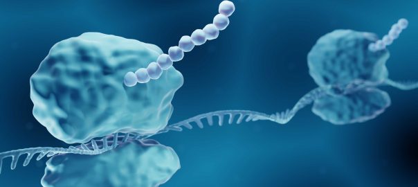 mRNA-sythesis-1